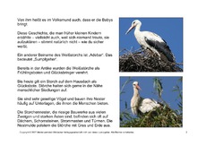 Fehlerlesen-Weißstorch-Lesetext-2.pdf